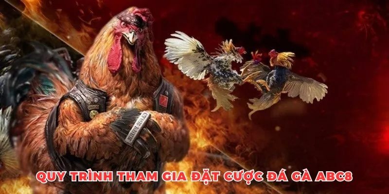 Quy trình tham gia đặt cược chọi kê tại trang ABC8