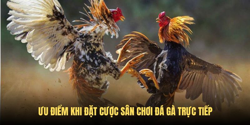 Điểm mạnh gây ấn tượng khi cá cược trên nền tảng