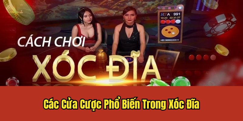 Các cửa cược quy định trong luật chơi xóc đĩa với 4 đồng xu 