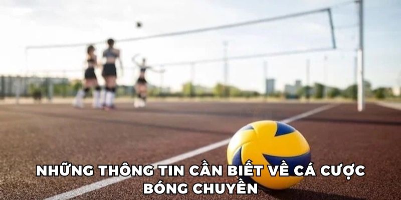 Một số thông tin cần biết về cá cược bóng chuyền